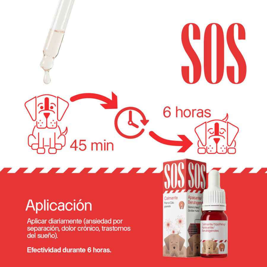 Dogs.Drops Oil 10% 1000mg CBD Salm&oacute;n, , large Imagen numero 5