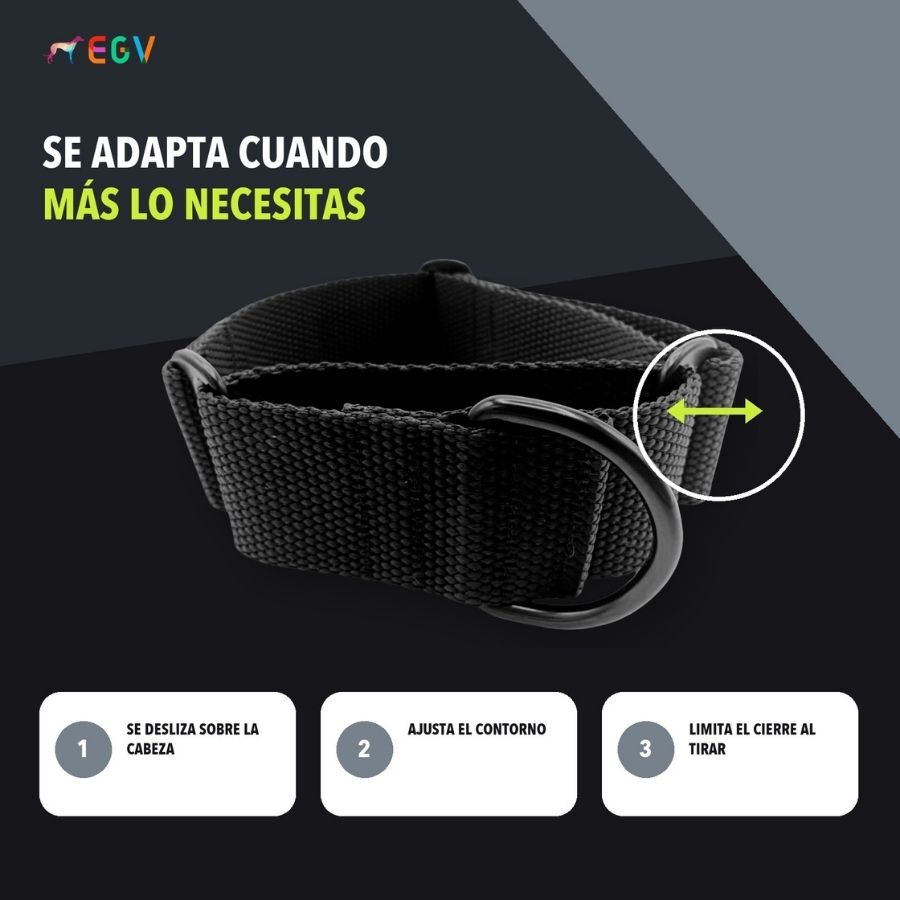EGV - Collar Martingale. Collar galgo hecho a mano en Espa&ntilde;a (Negro), , large Imagen numero 3