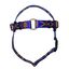 ARNES  INDIAN AZUL, , large indicador imagen numero 1