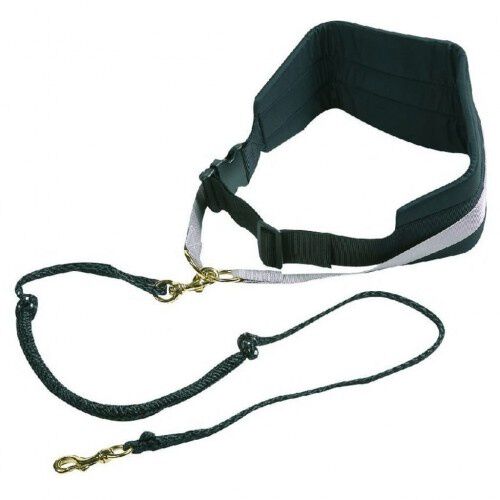 Correa para perros color Negro, , large Imagen numero 1