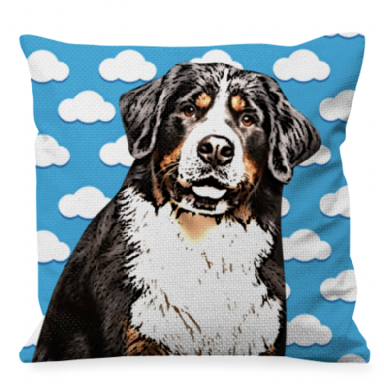 Cojin Personalizado nubes color Azul, , large image number null