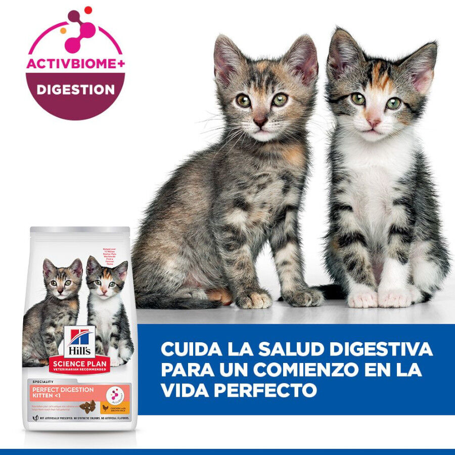1.5 kg Hill's Science Plan Perfect Digestion Kitten Pienso para gatos, , large Imagen numero 6