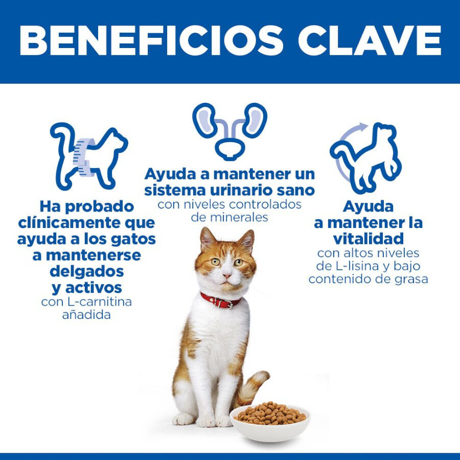 7 kg Hill's Science Plan Sterilised Adult Salm&oacute;n pienso para gatos, , large Imagen numero 5