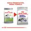 Royal Canin X-Small Sterilised pienso para perros, , large indicador imagen numero 3