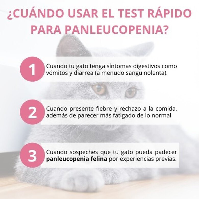 Lab4pets test rápido panleucopenia para gatos, , large image number null