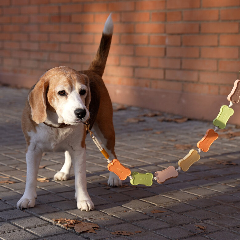 Balvi Correa perro Biscuit Ligera y con forma de galletas para perro Plástico 108 cm, , large image number null