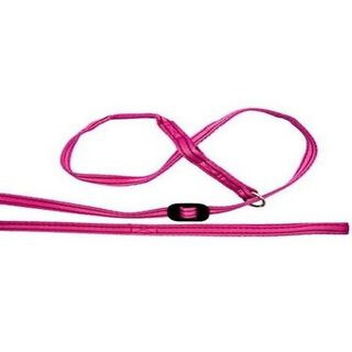 Collar de cabeza todo en uno para perros color Púrpura