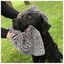 Doggy Dry Toalla Gris para perros, , large indicador imagen numero 4