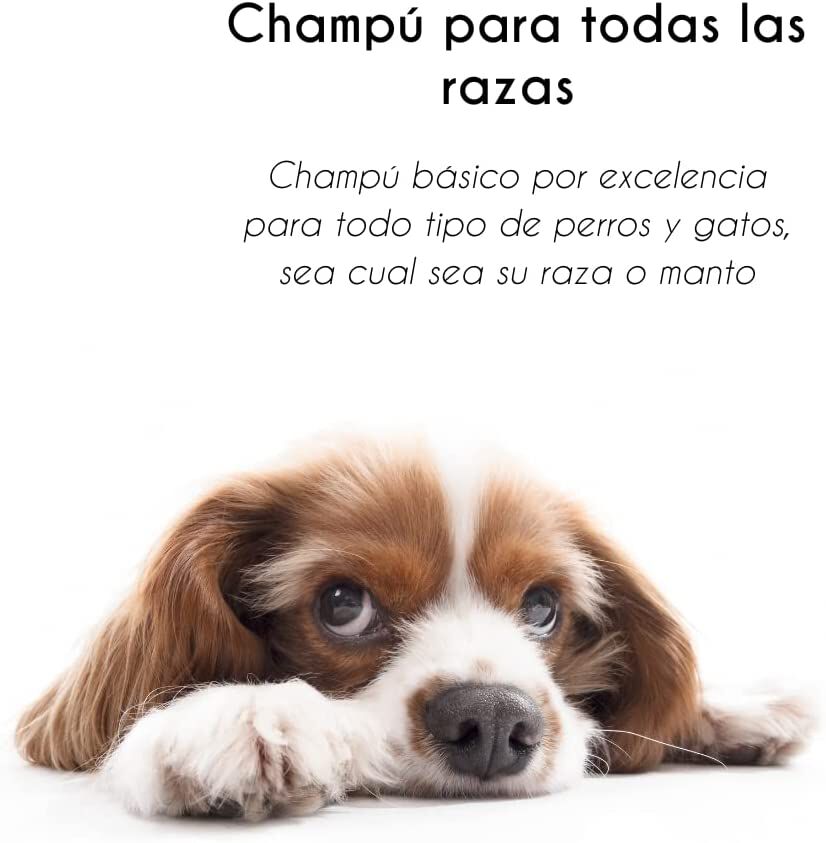 Petuxe pack champ&uacute;, mascarilla  y acondicionador para mascotas, , large Imagen numero 4