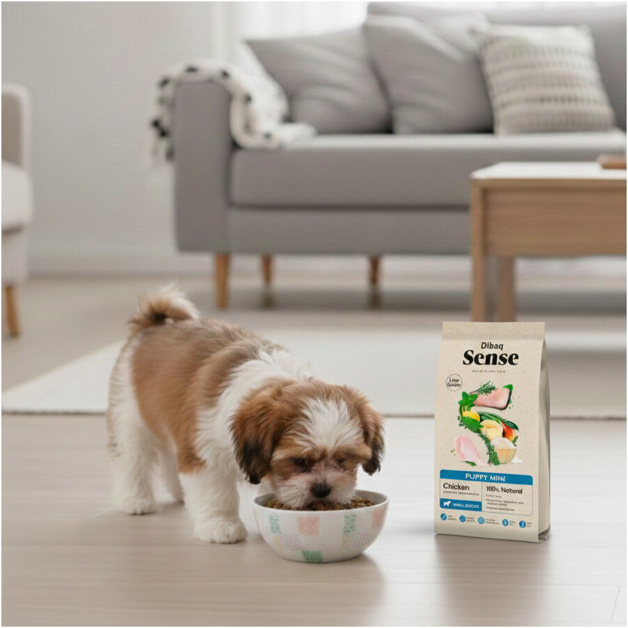 2 kg Dibaq Sense Low Grain Puppy Mini Pollo Pienso para perros, , large Imagen numero 5