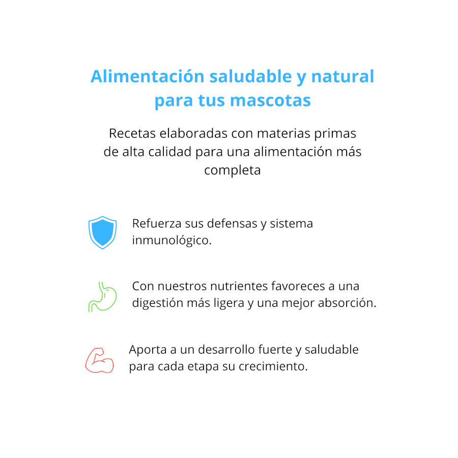 Pienso FIllip Mango para perros de buey, kiwi y zanahoria 400gr, , large Imagen numero 3
