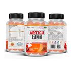 Pet line antiinflamatorio articupet para perros y gatos, , large image number null