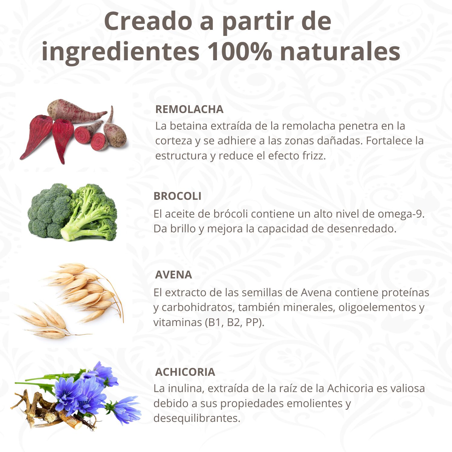 Champ&uacute; Natural para Perros con Acondicionador, , large Imagen numero 2