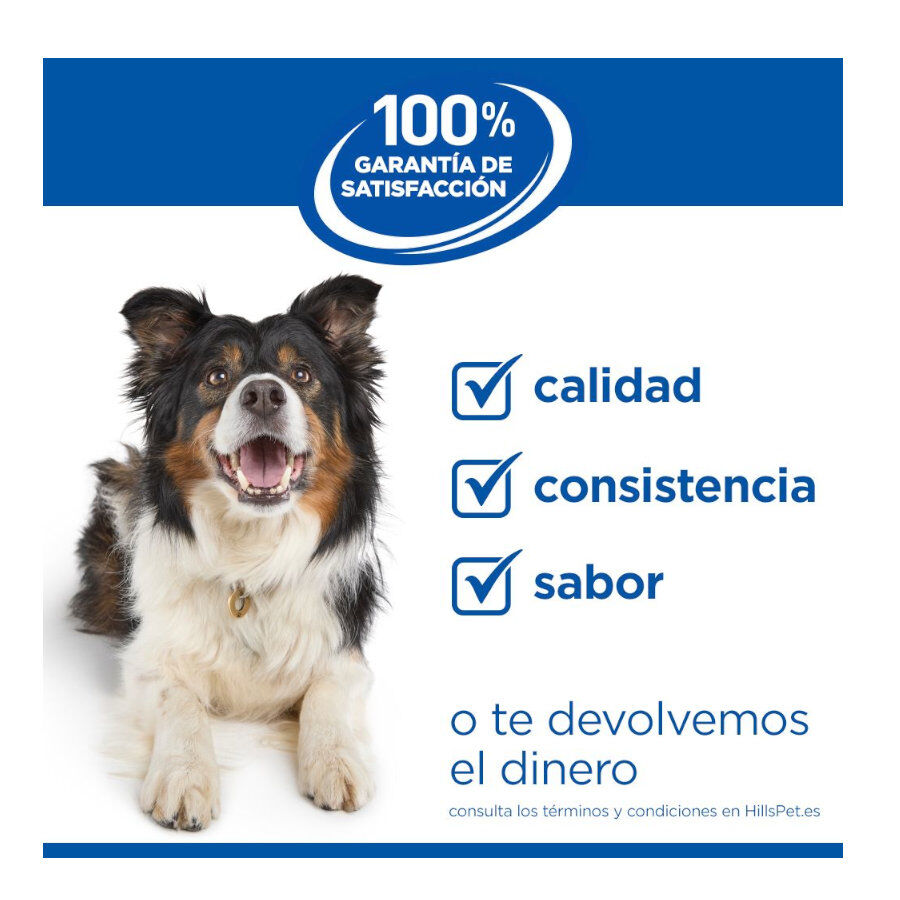 1.5 kg Hill's Science Plan Perfect Weight Adult Small y Mini pienso para perros, , large Imagen numero 9