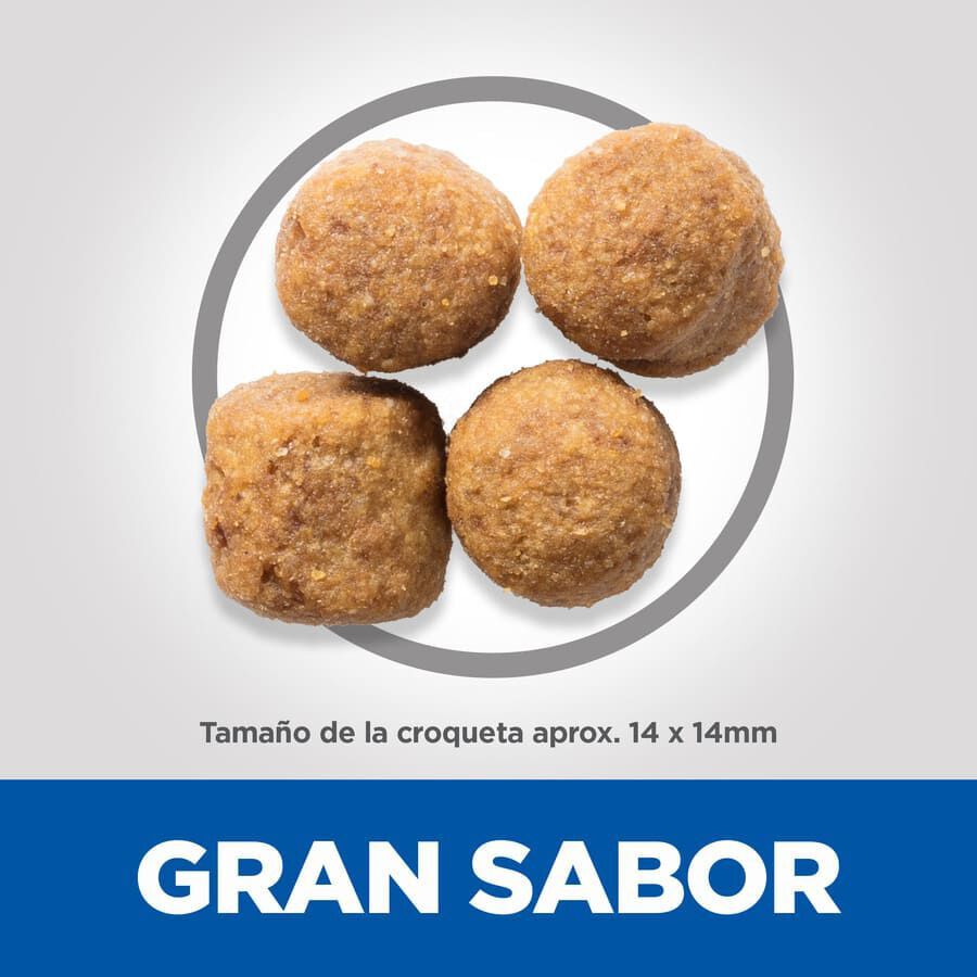 Hill&#039;s Science Plan Adult Large Pollo pienso para perros thumbnail