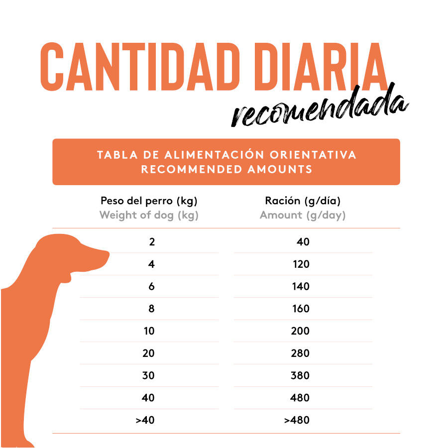 12 Kg Dibaq Sense Pienso Grain Free Salm&oacute;n para perros, , large Imagen numero 2