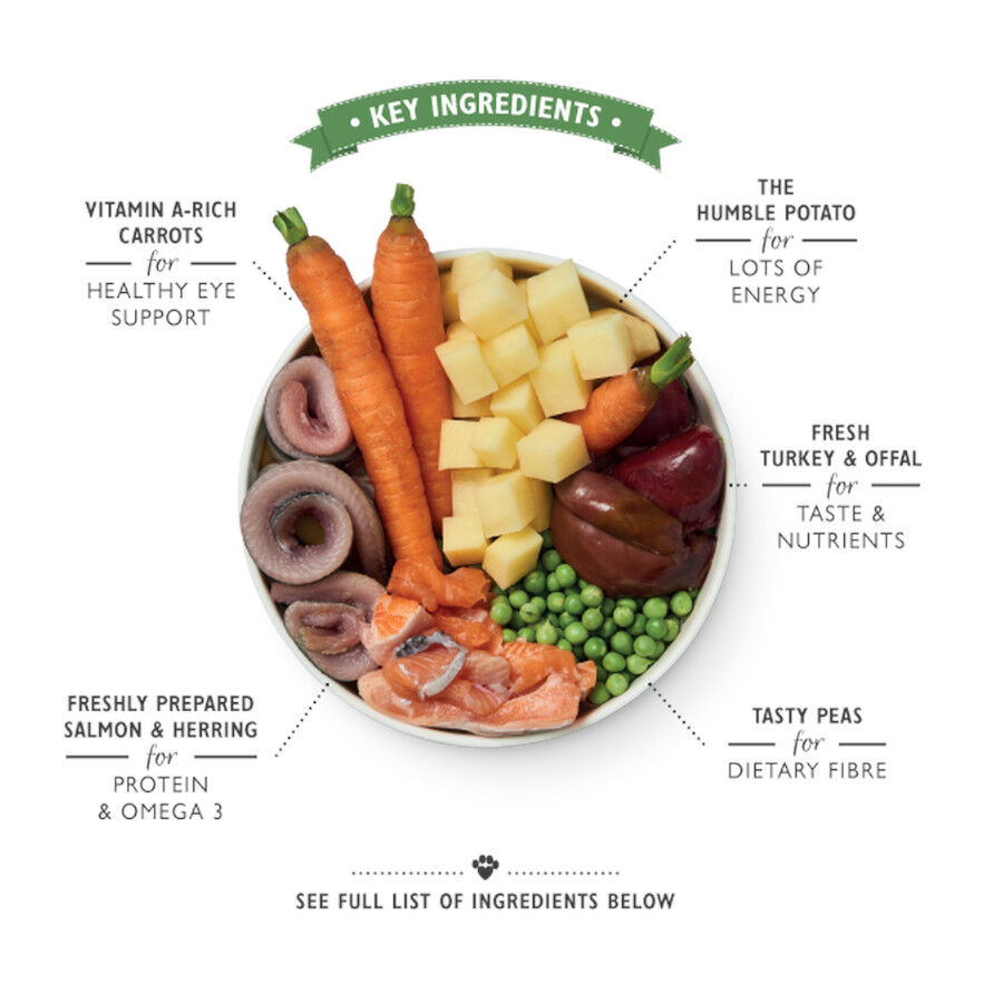 Lily&#039;s Kitchen Salmón y Arenque lata para perros thumbnail