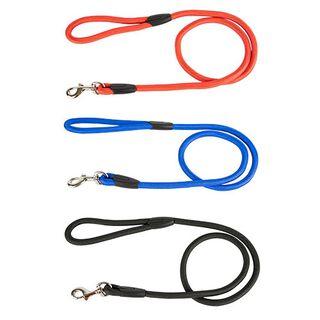 Ibañez Correa redonda Nylon negra para Perros