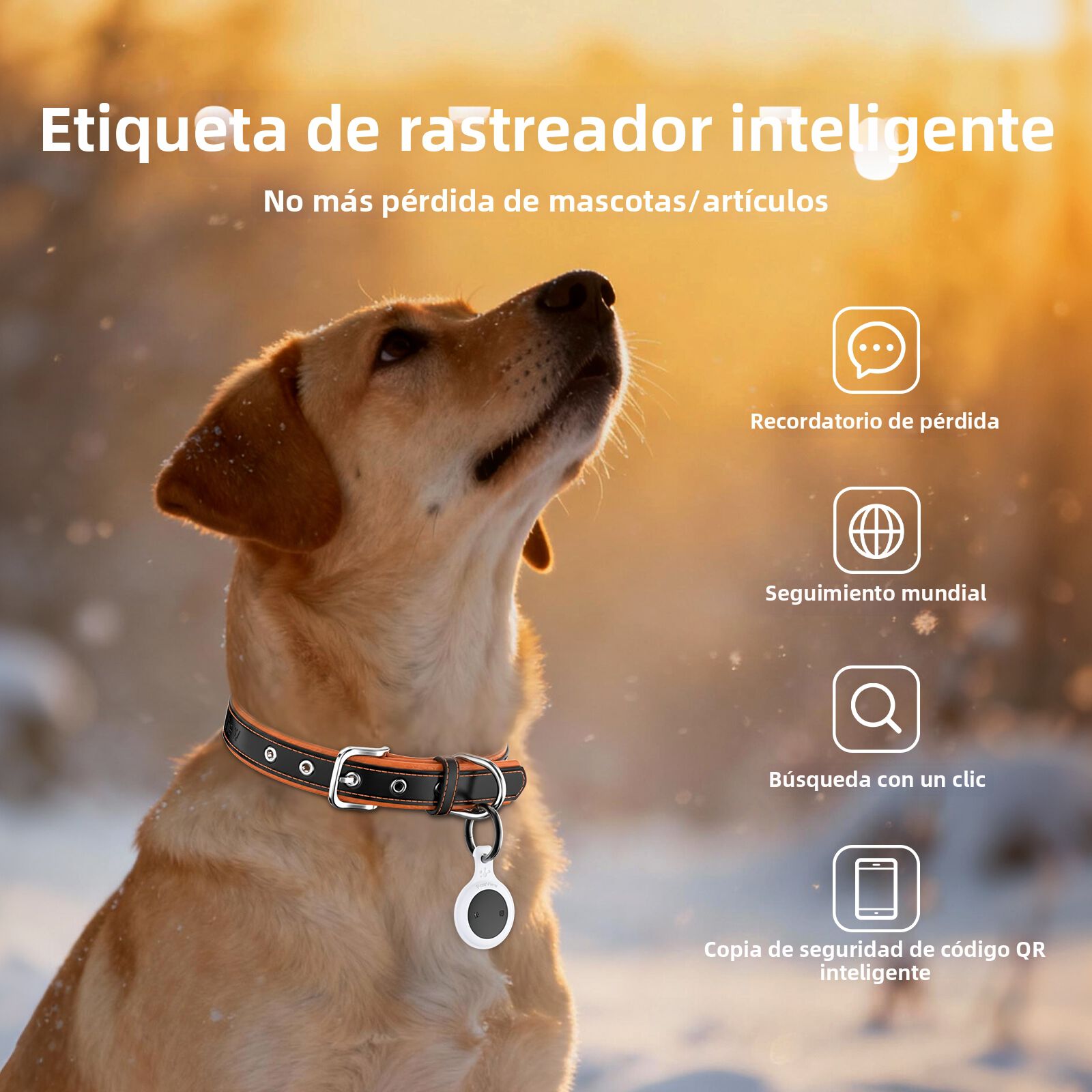 Pawview Localizador Inteligente para Mascotas, Rastreador Perros y Gatos Compatible con Apple Find My y Android Find Hub, Funda de Silicona Antidesgarros con C&oacute;digo QR, Sin Suscripci&oacute;n. Morado, , large Imagen numero 5