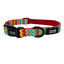 Collar Colorful, , large indicador imagen numero 1