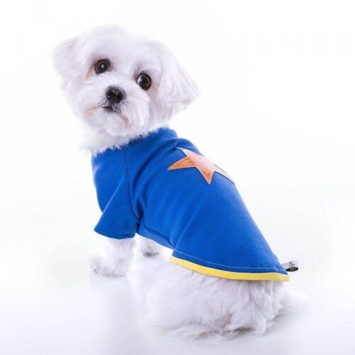 Camiseta para perros Groc Groc Nun Star azul el&eacute;ctrico, , large Imagen numero 1