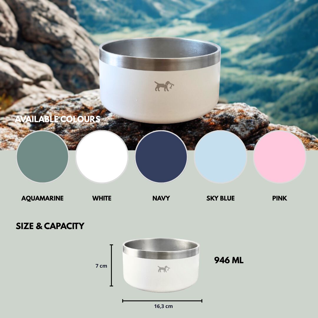 Comedero de acero inoxidable para Perros y Gatos | Acero inoxidable 304, Antideslizante, 946 ml y Varios Colores - La Casa de Turr&oacute;n, , large Imagen numero 4