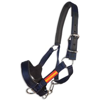 Guarnicioneria Los Nietos Cabezada Cuadra azul Nylon España para caballos
