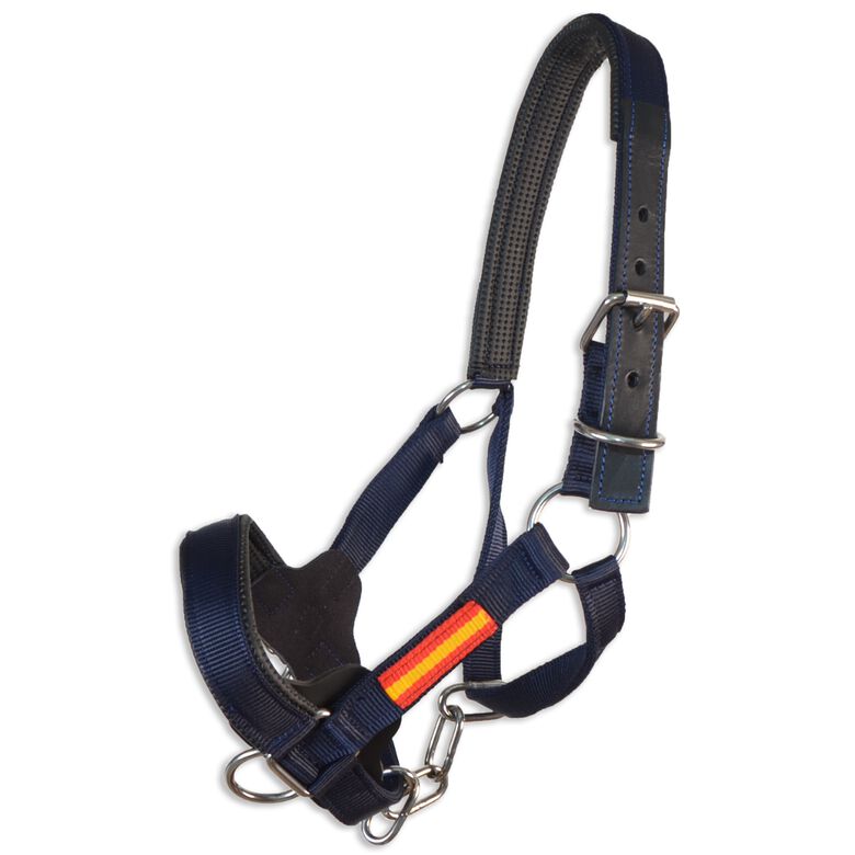 Guarnicioneria Los Nietos Cabezada Cuadra azul Nylon España para caballos thumbnail