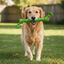 Tootoy! Hueso Mordedor de Cuerda Verde para perros, , large indicador imagen numero 1
