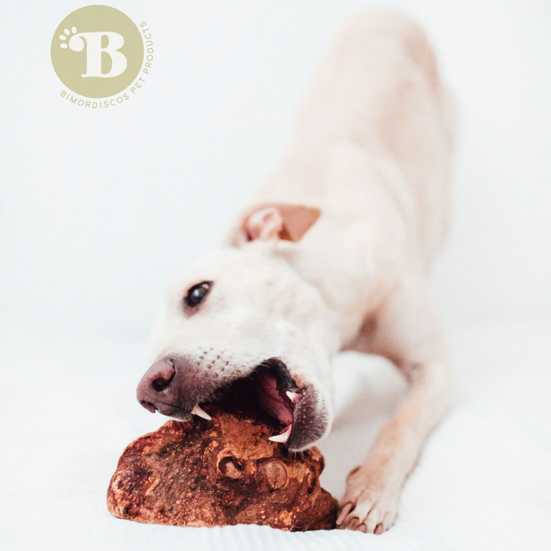 BIMORDISCOS Ra&iacute;z de Brezo con Aceite de Salm&oacute;n para perros Pack 2 x L, , large Imagen numero 4