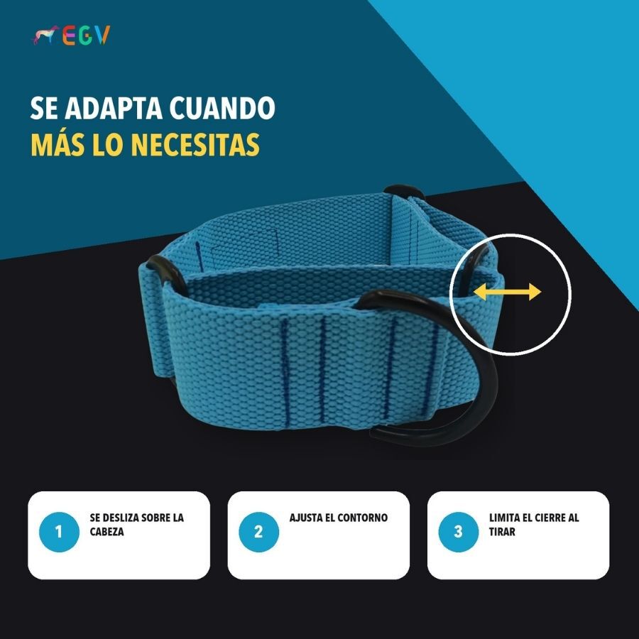 EGV - Collar Martingale. Collar galgo hecho a mano en Espa&ntilde;a (Azul), , large Imagen numero 3