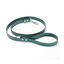 Gotoo Correa Biothane verde para perros, , large indicador imagen numero 1