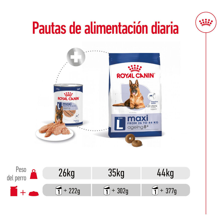 Royal Canin Maxi Ageing 5+ Paté lata para perros thumbnail