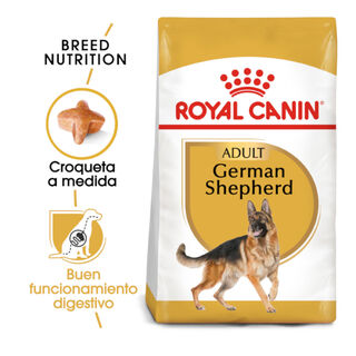 Royal Canin Adult Pastor Alemán pienso para perros