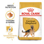Royal Canin Adult Pastor Alemán pienso para perros , , large image number null