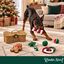 Wonder Christmas Cesta de Juguetes Premium Juguete para perros, , large indicador imagen numero 2