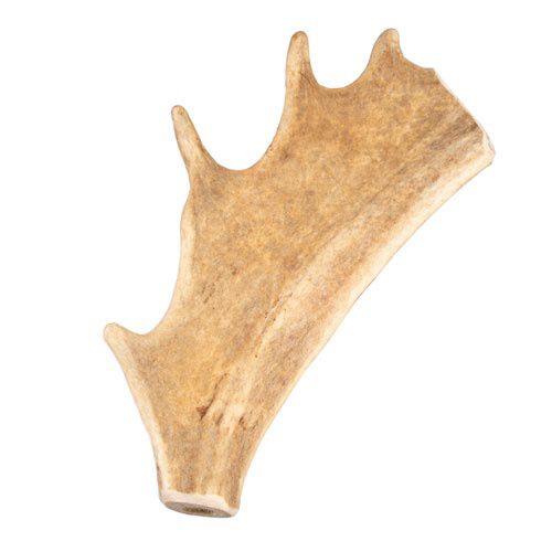 Criadores Asta de Gamo snack natural para perros