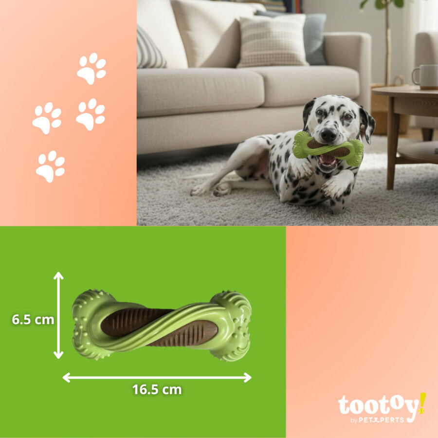Tootoy! Hueso Mordedor Dental Verde y Marr&oacute;n para perros, , large Imagen numero 4