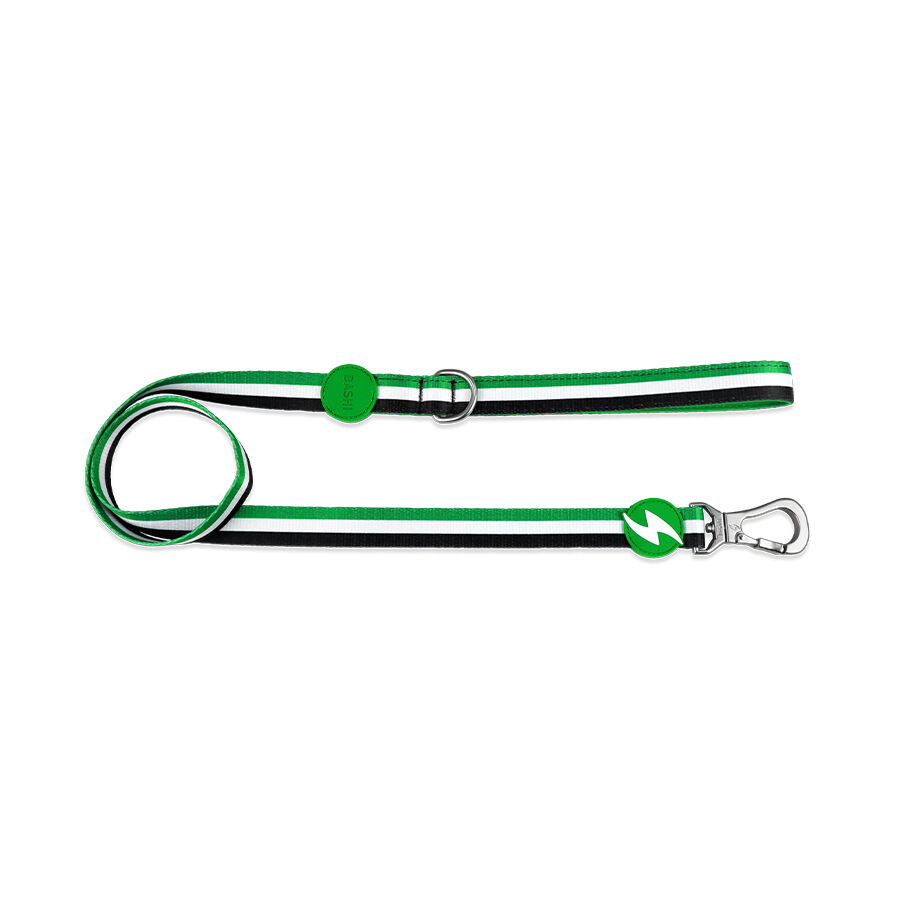Correas Stripes Verde & Negro, , large Imagen numero 2