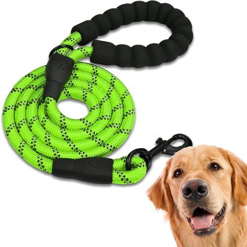 Edipets correa de adiestramiento con mango acolchado verde para perros, , large Imagen numero 1