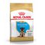 12 kg Royal Canin Puppy Pastor Alemán pienso para perros, , large indicador imagen numero 1