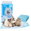 Nobleza 100 x Empapadores Perros, Alfombras de Entrenamiento con Adhesivo para Mascotas, Toallitas de Adiestramiento Cachorros，60 x 40 cm, 100 Unidades, , large indicador imagen numero 6