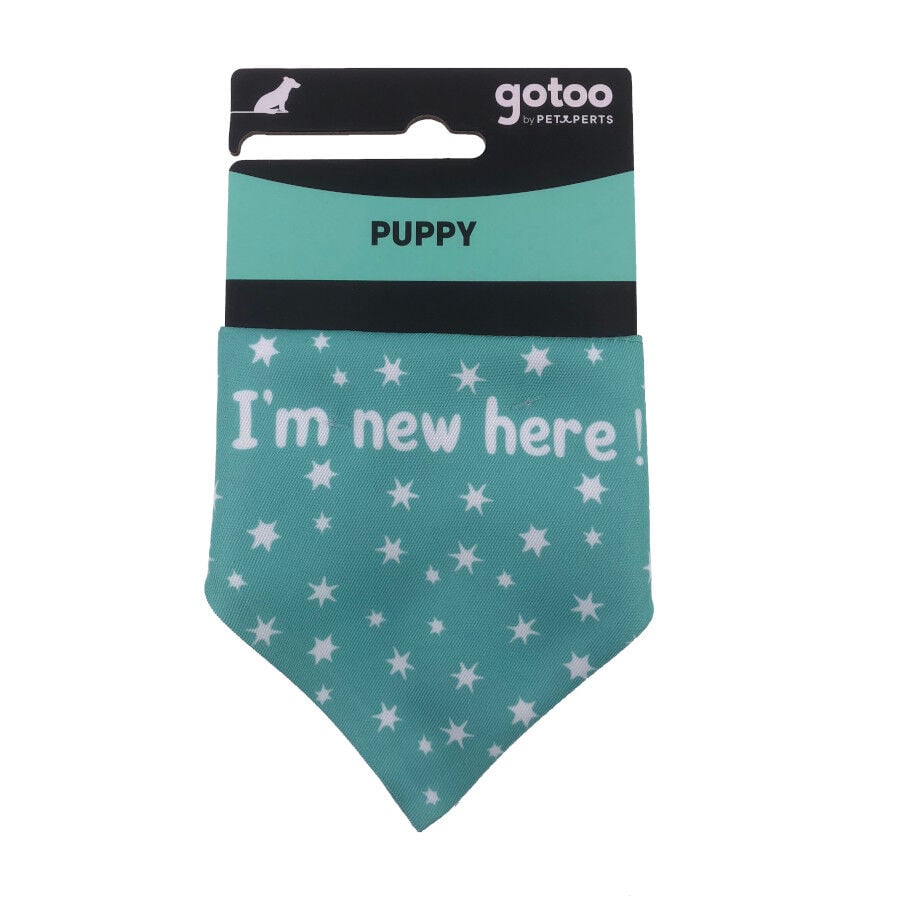 Gotoo Bandana estampada verde para perros, , large Imagen numero 5
