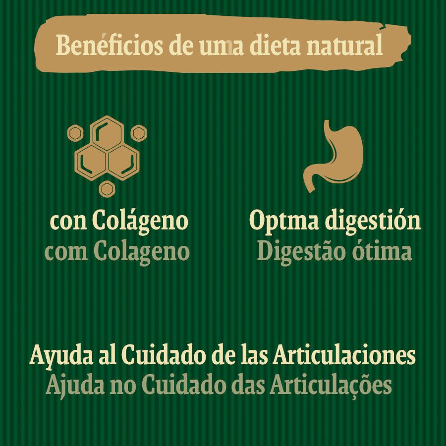 1 ud. True Origins Joints Chewing Sticks Snack para perros, , large Imagen numero 5