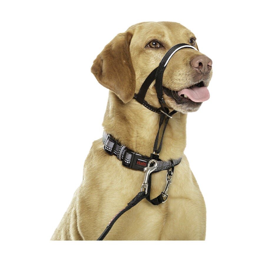 Halti collar con bozal de tela negro para perros thumbnail