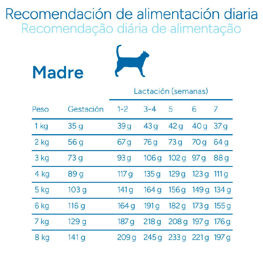 Criadores Cient&iacute;fico Mother&BabyCat pollo pienso para gatos, , large Imagen numero 9