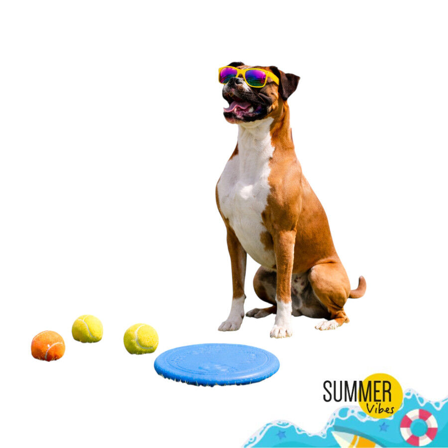 Summer Vibes Frisbee con Pelota Juguete Azul para perros, , large Imagen numero 7