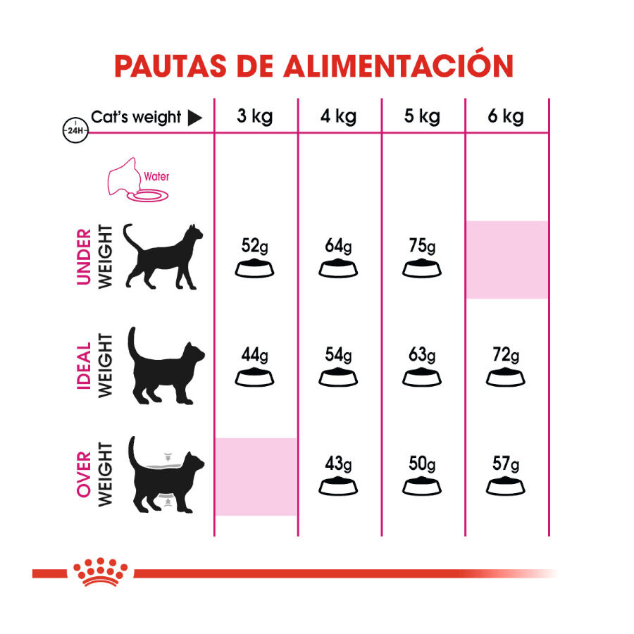Royal Canin Regular Fit 32 pienso para gatos thumbnail
