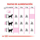 Royal Canin Regular Fit 32 pienso para gatos, , large image number null