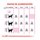 Royal Canin Regular Fit 32 pienso para gatos , , large image number null